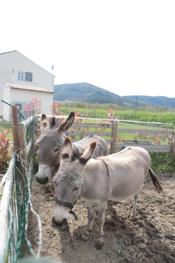 Villa Agriturismo I Casali Fiumaretta di Ameglia Exterior foto